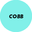 Circle representing Cobb County